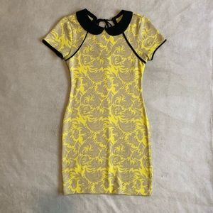 Anthro Collared Dress